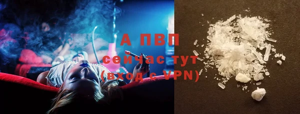 стафф Алексин