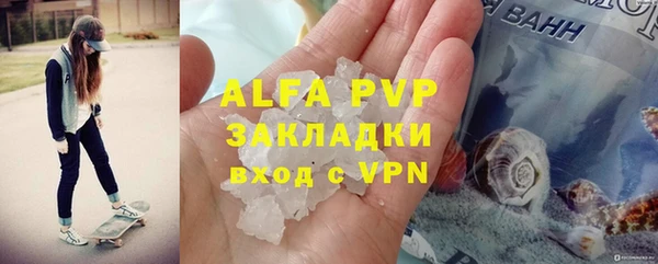 стафф Алексин