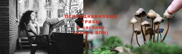 а пвп мука Алексеевка