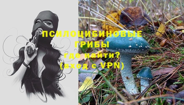 спиды Алзамай