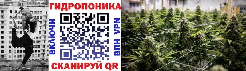 Бошки Шишки Ganja  наркотики  Отрадная 